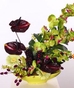 Permanent Botanicals