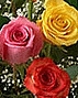 Anniversary