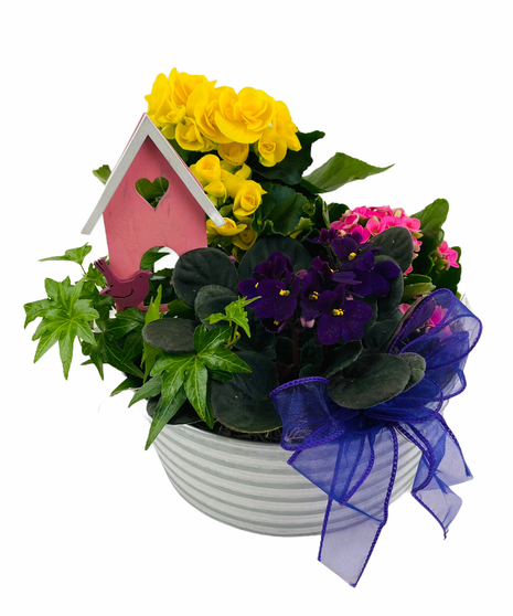 Birds and Blooms