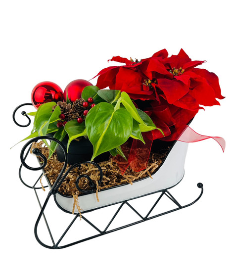 Holiday Sleighride