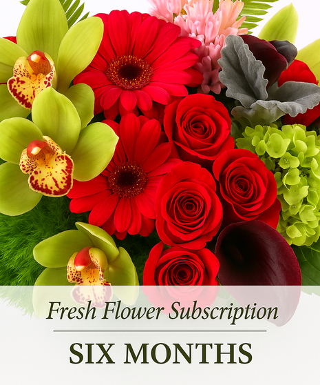 Six Months of Flowers
