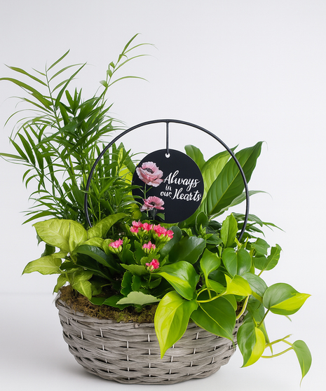 Always in our Hearts - Dish Garden