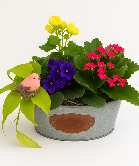 Birds and Blooms