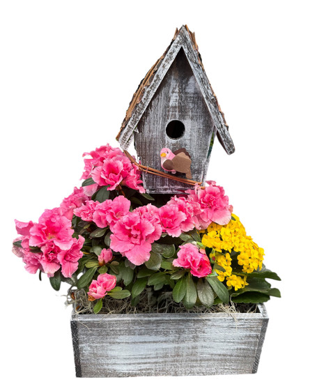 Azalea Bird House