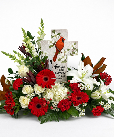 Cardinal of Comfort Tribute