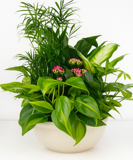 Green Plants