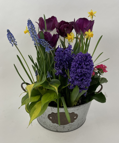 Flowering Plants