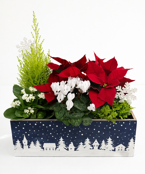 Winter Village Garden