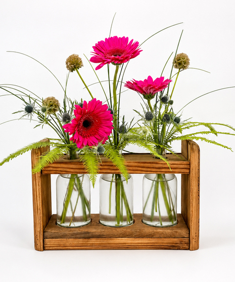Gerbera Garden Trio