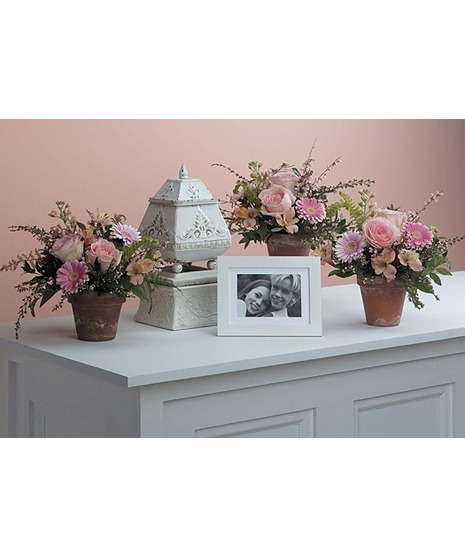 Trio of Arrangements in Terra Cotta Pots
