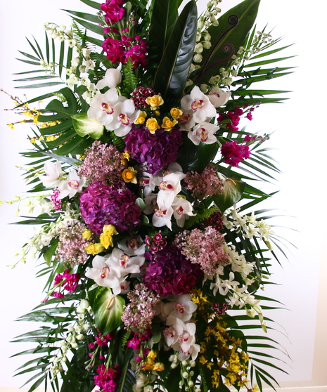 Orchid Grace