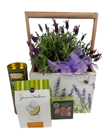 Lavender Tranquility - Plant & Treats