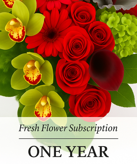 One Year of Flowers