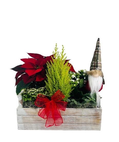 Christmas Gnome Garden
