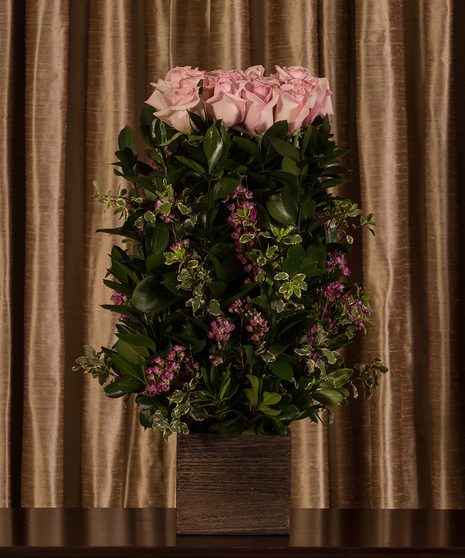Pink Rose Hedge