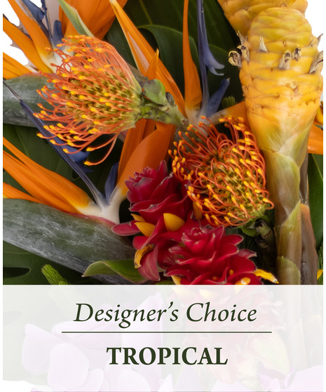Tropical Flowers