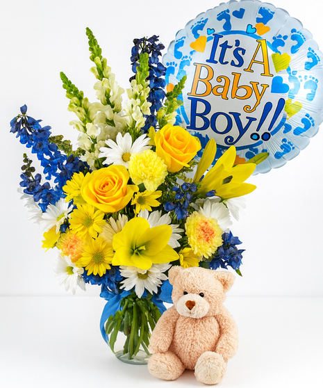 Baby Boy Surprise!