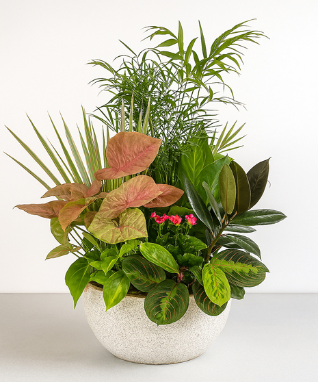 Green Plants