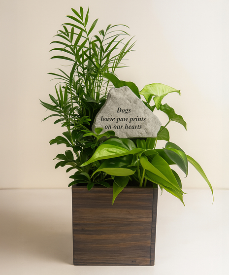 Pet Bereavement Dish Garden with Paw Prints Stone