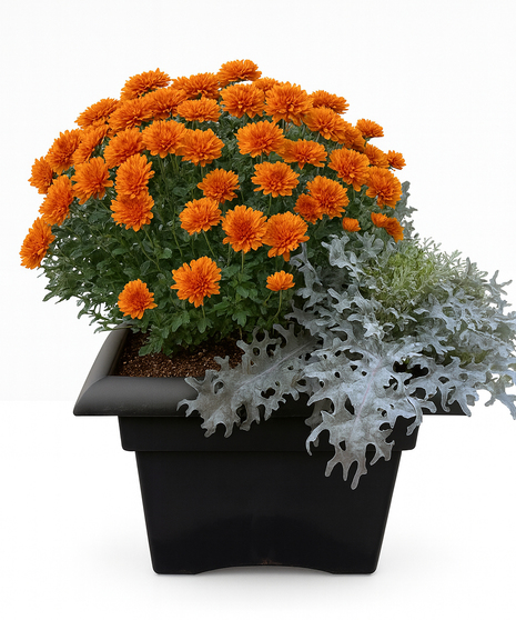 Fall Mixed Planter