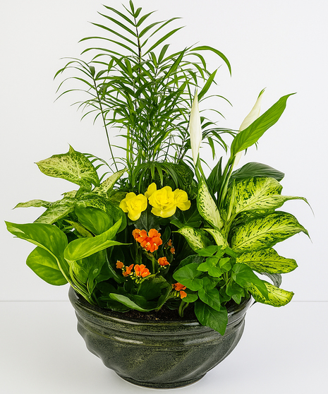 Jade Ceramic Dish Garden