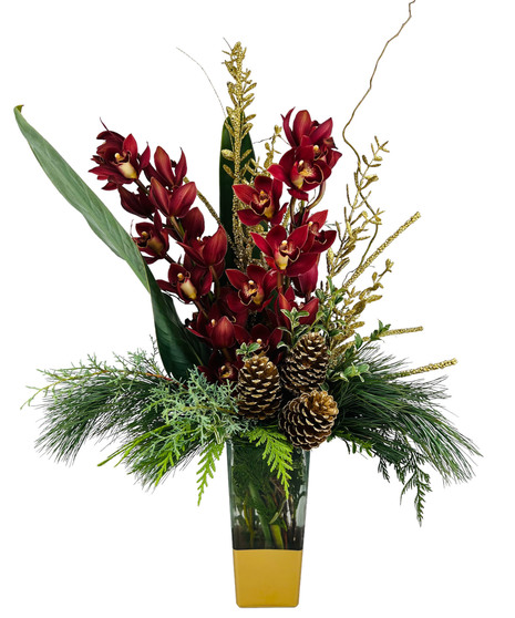 Cymbidium Celebration