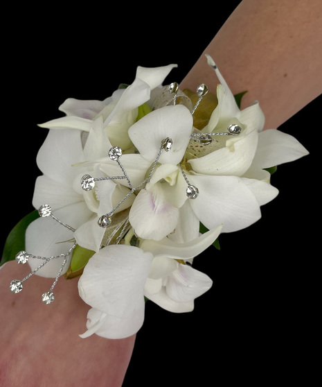 5 Bloom Dendrobium Wrist Corsage