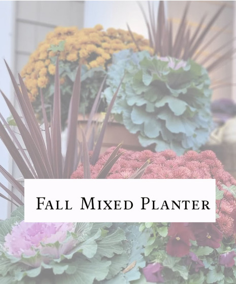 Fall Mixed Planter