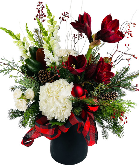 Crimson Elegance