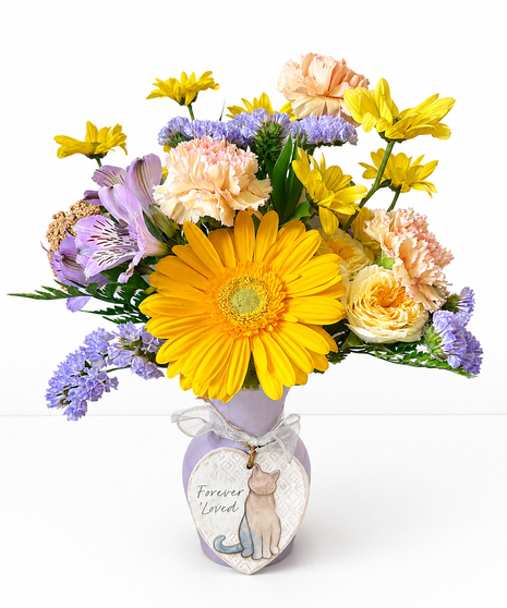 Cat Sympathy - Keepsake Gift & Arrangement