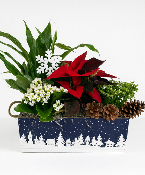 A Long Winter's Night Garden