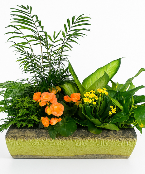 Green Plants